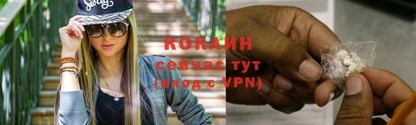 стаф Михайлов