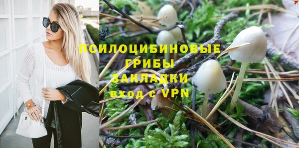 PSILOCYBIN Верхнеуральск