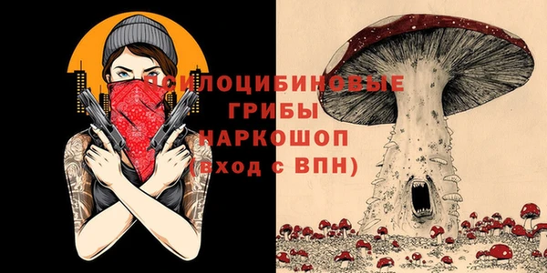 стаф Михайлов