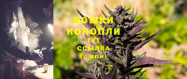стаф Михайлов