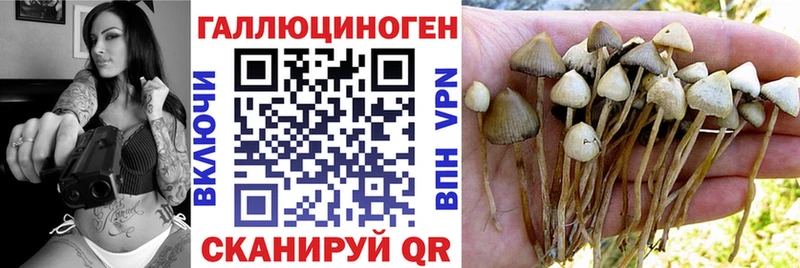 Галлюциногенные грибы прущие грибы  дарнет шоп  Власиха 