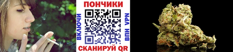 продажа наркотиков  Власиха  блэк спрут рабочий сайт  Марихуана план 